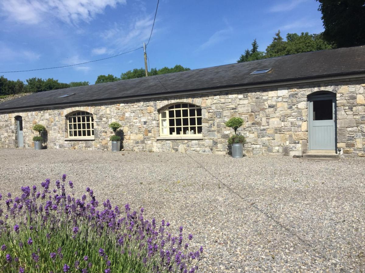 Clonalis House - Guesthouse Castlerea Esterno foto
