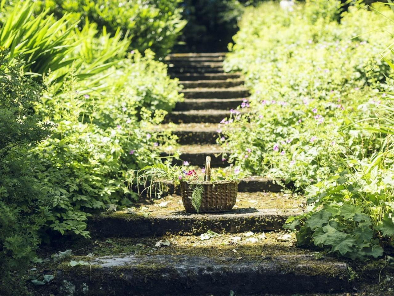 Clonalis House - Guesthouse Castlerea Esterno foto